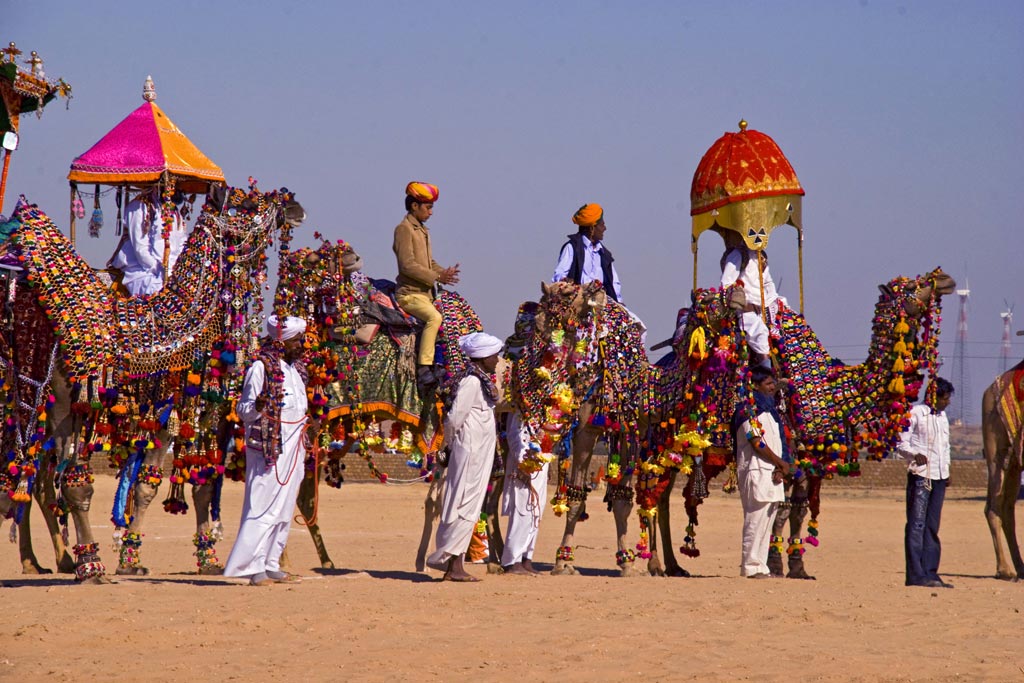 Marwar Festival Tours in India with Camel Safari Tours in India  